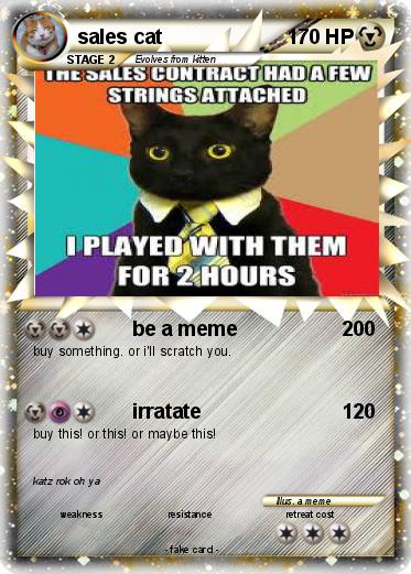 Pokemon sales cat
