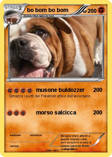 Pokemon bo bom bo bom