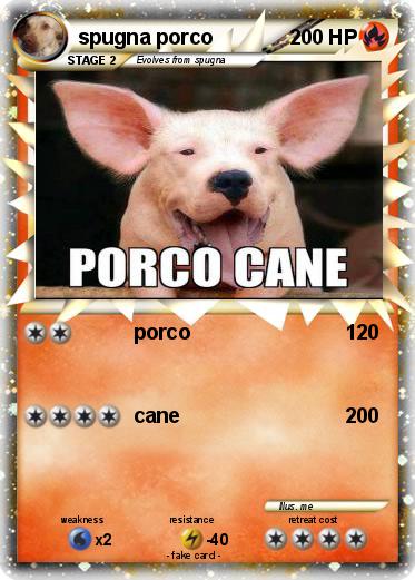 Pokemon spugna porco