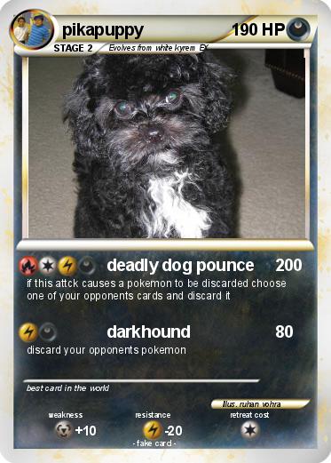 Pokemon pikapuppy