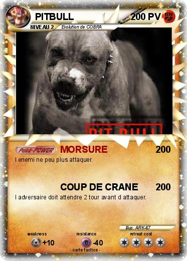 Pokemon PITBULL