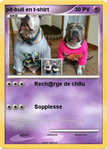 Pokemon pit-bull en t-shirt