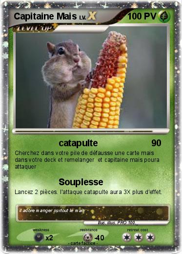 Pokemon Capitaine Mais