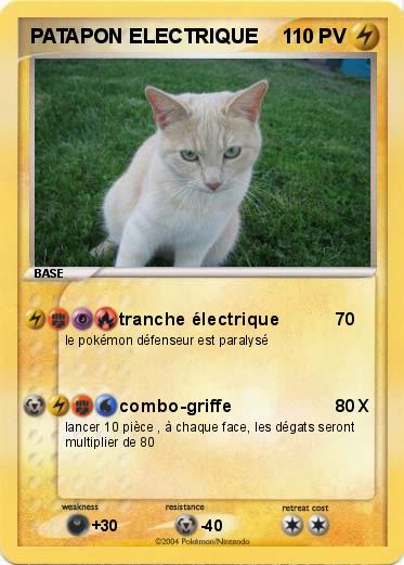 Pokemon PATAPON ELECTRIQUE