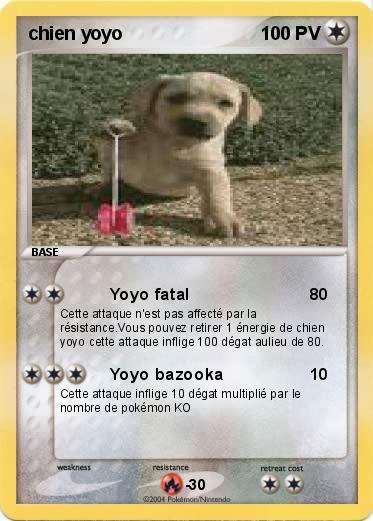 Pokemon chien yoyo