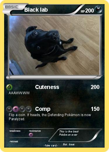 Pokemon Black lab