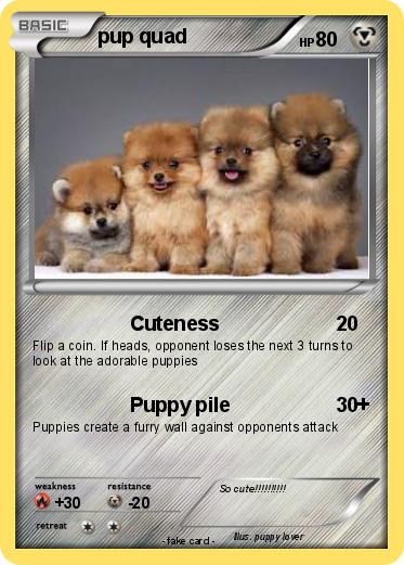 Pokemon pup quad