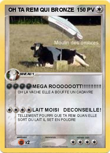 Pokemon OH TA REM QUI BRONZE