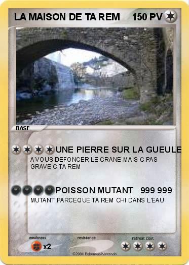 Pokemon LA MAISON DE TA REM
