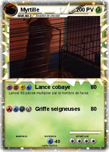 Pokemon Myrtille
