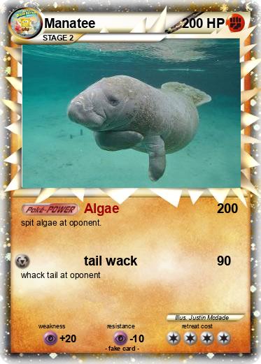 Pokemon Manatee