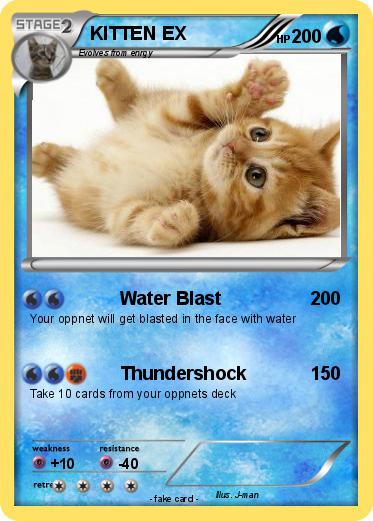 Pokemon KITTEN EX
