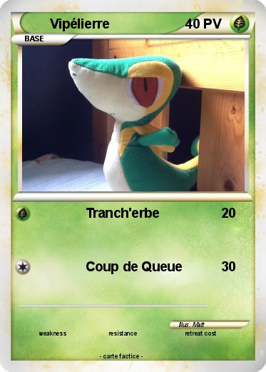 Pokemon Vipélierre