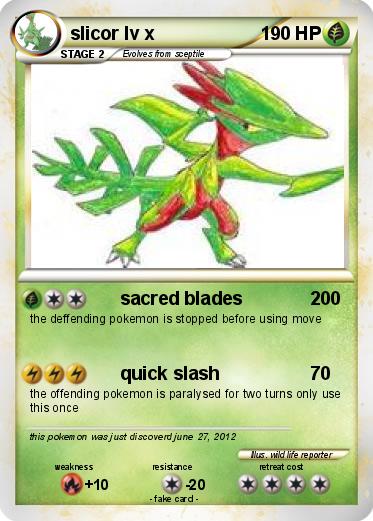 Pokemon slicor lv x