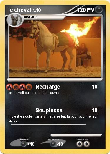 Pokemon le cheval