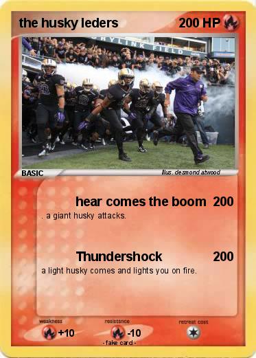 Pokemon the husky leders