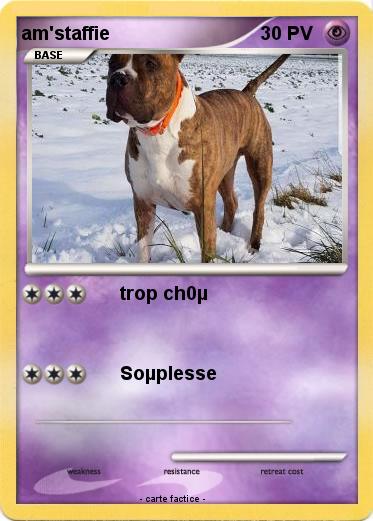 Pokemon am'staffie