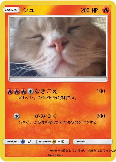 Pokemon シユ
