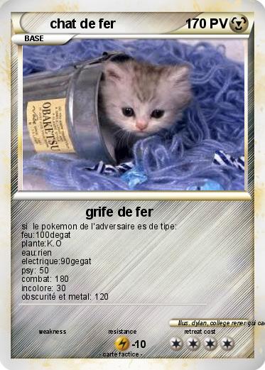 Pokemon chat de fer