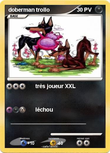 Pokemon doberman trollo