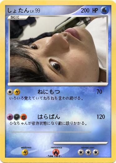 Pokemon しょたん