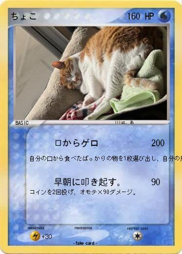 Pokemon ちょこ