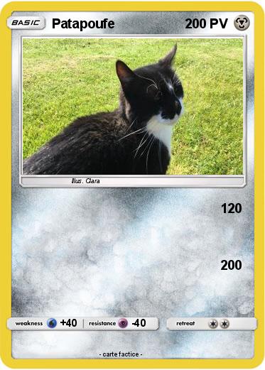 Pokemon Patapoufe