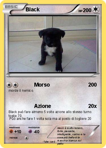 Pokemon Black