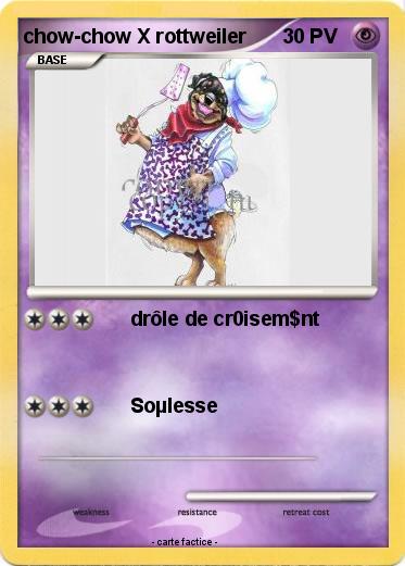 Pokemon chow-chow X rottweiler