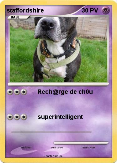 Pokemon staffordshire