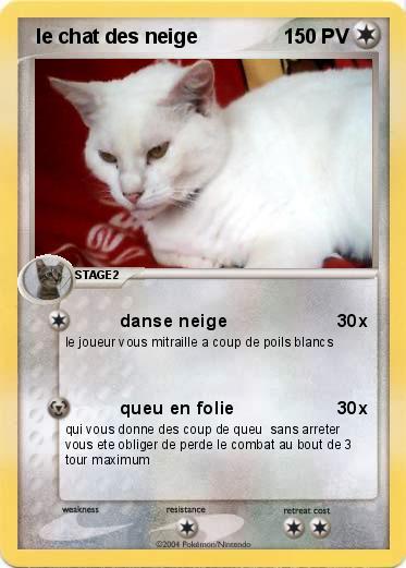 Pokemon  le chat des neige