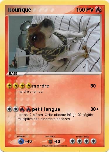 Pokemon bourique