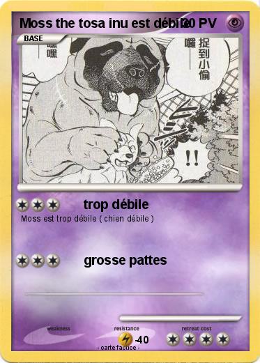 Pokemon Moss the tosa inu est débile
