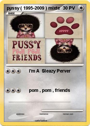 Pokemon pµssy ( 1995-2009 ) mixte