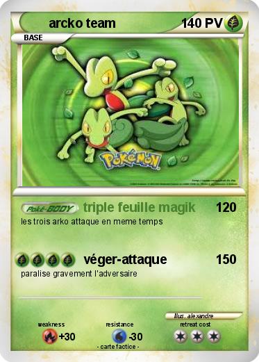 Pokemon arcko team