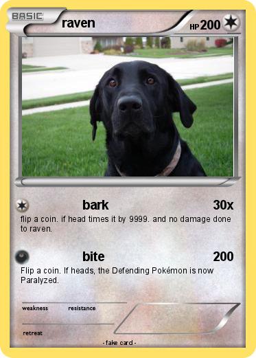 Pokemon raven