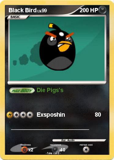 Pokemon Black Bird