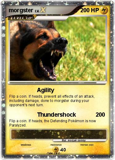 Pokemon morgster