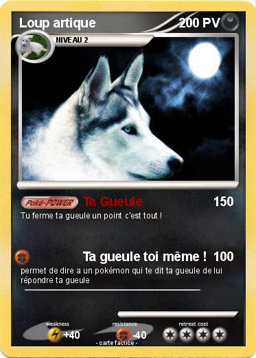 Pokemon Loup artique