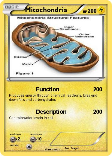Pokemon Mitochondria