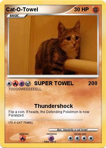 Pokemon Cat-O-Towel