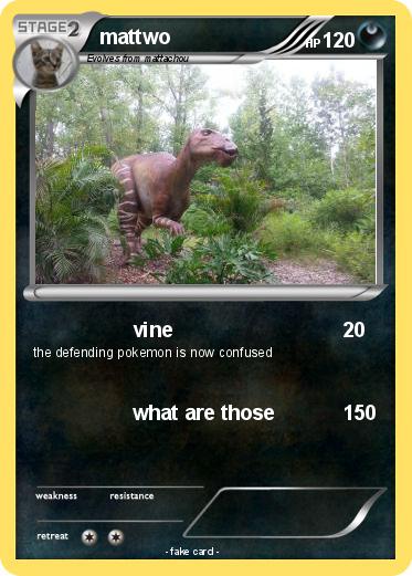 Pokemon mattwo