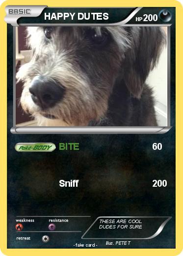 Pokemon HAPPY DUTES