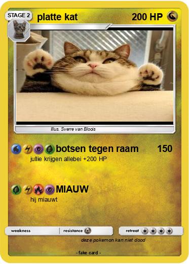 Pokemon platte kat
