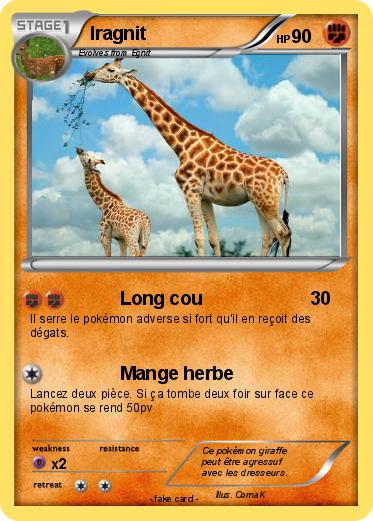 Pokemon Iragnit