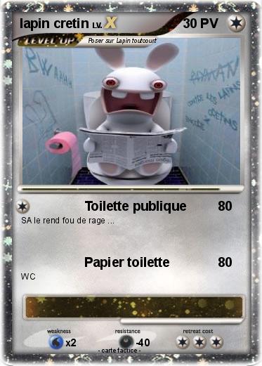 Pokemon lapin cretin