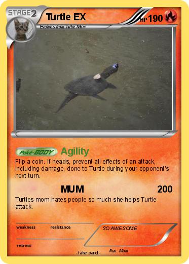 Pokemon Turtle EX