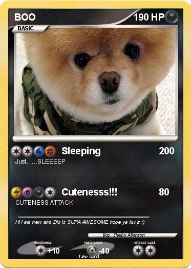 Pokemon BOO