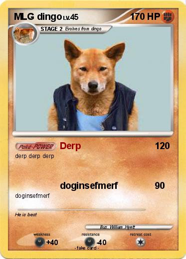 Pokemon MLG dingo