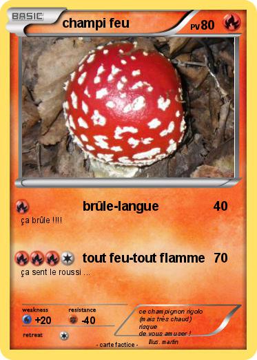 Pokemon champi feu